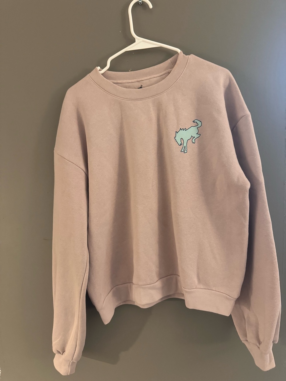NWOT Women's Dusty Pink Ford Bronco Crewneck Sweatshirt